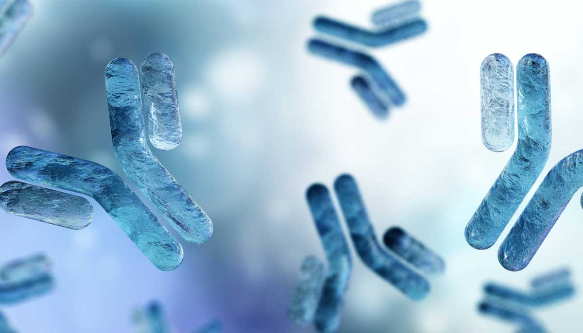 3D illustration of antibodies in a light blue environment, representing immune response and medical research.